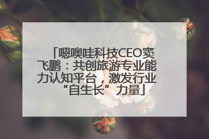 嗯噢哇科技CEO窦飞鹏：共创旅游专业能力认知平台，激发行业“自生长”力量