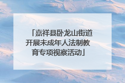 嘉祥县卧龙山街道开展未成年人法制教育专项视察活动