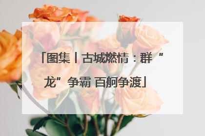 图集丨古城燃情：群“龙”争霸 百舸争渡