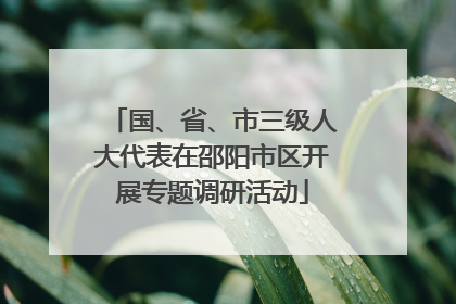 国、省、市三级人大代表在邵阳市区开展专题调研活动