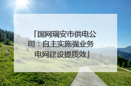 国网瑞安市供电公司：自主实施强业务 电网建设提质效