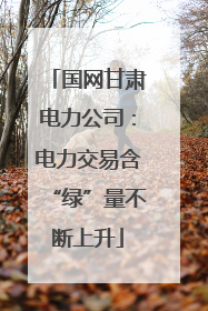 国网甘肃电力公司：电力交易含“绿”量不断上升