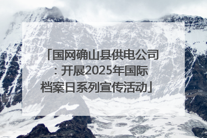 国网确山县供电公司：开展2025年国际档案日系列宣传活动