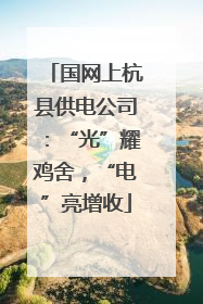 国网上杭县供电公司：“光”耀鸡舍，“电”亮增收