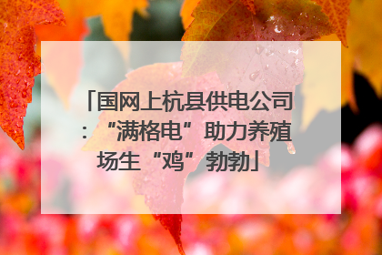 国网上杭县供电公司：“满格电”助力养殖场生“鸡”勃勃