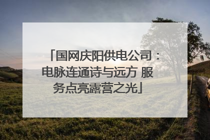 国网庆阳供电公司：电脉连通诗与远方 服务点亮露营之光