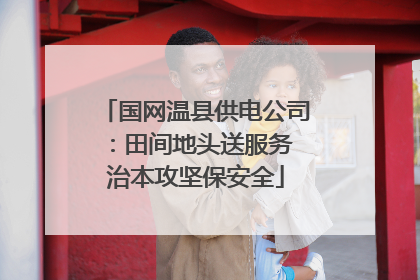 国网温县供电公司：田间地头送服务 治本攻坚保安全