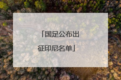 国足公布出征印尼名单