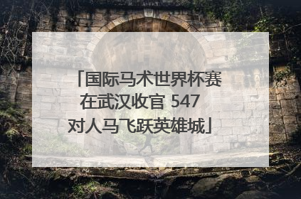 国际马术世界杯赛在武汉收官 547对人马飞跃英雄城