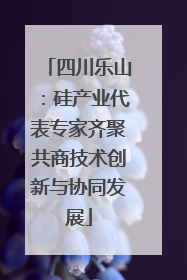 四川乐山：硅产业代表专家齐聚共商技术创新与协同发展