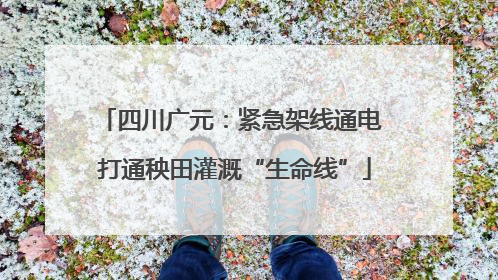 四川广元：紧急架线通电 打通秧田灌溉“生命线”