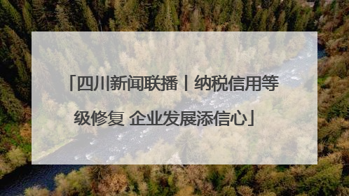 四川新闻联播丨纳税信用等级修复 企业发展添信心