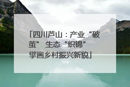 四川芦山：产业“破茧” 生态“织锦” 擘画乡村振兴新貌