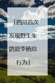 四川首次发现野生朱鹮夏季栖息行为