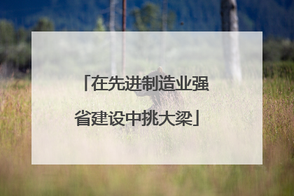 在先进制造业强省建设中挑大梁