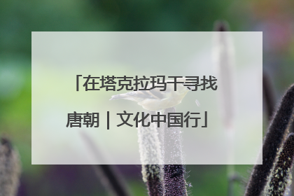 在塔克拉玛干寻找唐朝｜文化中国行