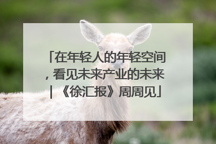 在年轻人的年轻空间，看见未来产业的未来｜《徐汇报》周周见