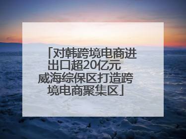 对韩跨境电商进出口超20亿元 威海综保区打造跨境电商聚集区