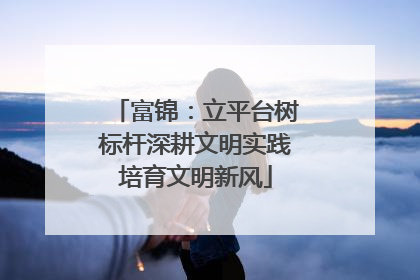 富锦：立平台树标杆深耕文明实践培育文明新风