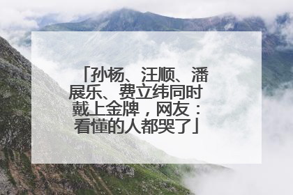 孙杨、汪顺、潘展乐、费立纬同时戴上金牌，网友：看懂的人都哭了