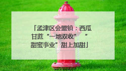 孟津区会盟镇：西瓜甘蔗“一地双收” “甜蜜事业”甜上加甜