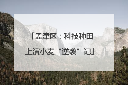 孟津区：科技种田 上演小麦“逆袭”记