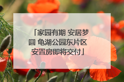家园有期 安居梦圆 龟湖公园东片区安置房即将交付