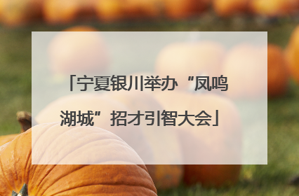 宁夏银川举办“凤鸣湖城”招才引智大会