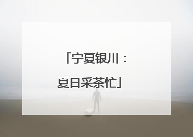 宁夏银川：夏日采茶忙