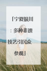 宁夏银川：多种非遗技艺引民众参观
