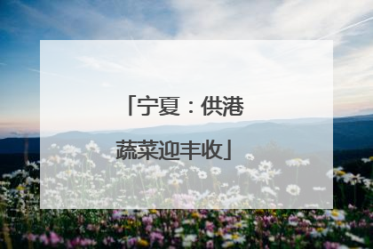 宁夏：供港蔬菜迎丰收