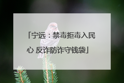 宁远：禁毒拒毒入民心 反诈防诈守钱袋