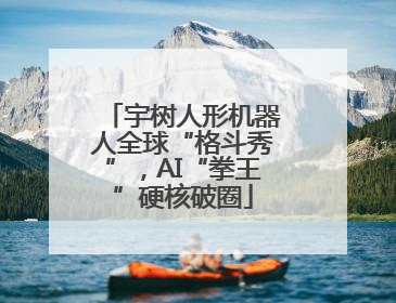 宇树人形机器人全球“格斗秀”，AI“拳王”硬核破圈