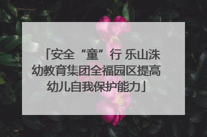 安全“童”行 乐山洙幼教育集团全福园区提高幼儿自我保护能力