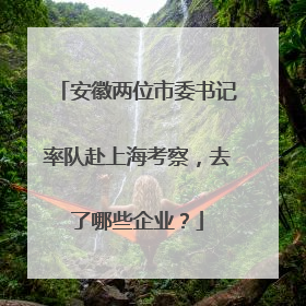 安徽两位市委书记率队赴上海考察，去了哪些企业？