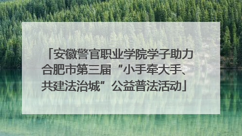 安徽警官职业学院学子助力合肥市第三届“小手牵大手、共建法治城”公益普法活动