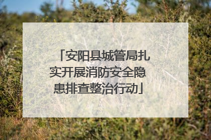 安阳县城管局扎实开展消防安全隐患排查整治行动