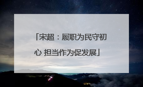 宋超：履职为民守初心 担当作为促发展