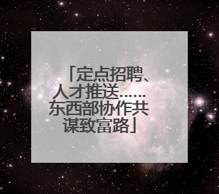 定点招聘、人才推送……东西部协作共谋致富路
