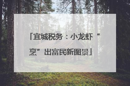 宜城税务：小龙虾“烹”出富民新图景