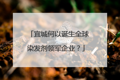 宜城何以诞生全球染发剂领军企业？
