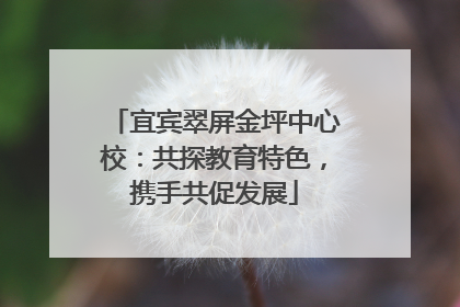 宜宾翠屏金坪中心校：共探教育特色，携手共促发展
