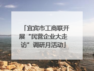 宜宾市工商联开展“民营企业大走访”调研月活动