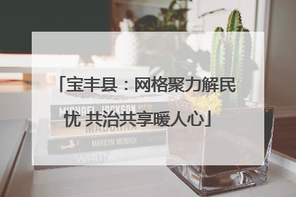 宝丰县：网格聚力解民忧 共治共享暖人心