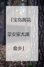 宝岛黄花菜安家尤溪畲乡