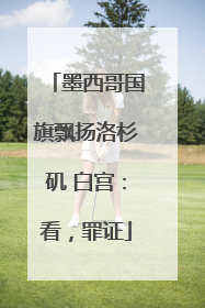 墨西哥国旗飘扬洛杉矶 白宫：看，罪证