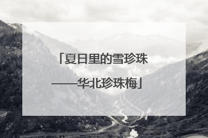 夏日里的雪珍珠——华北珍珠梅