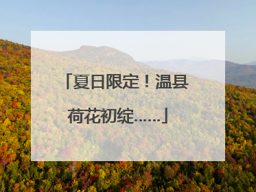 夏日限定！温县荷花初绽……