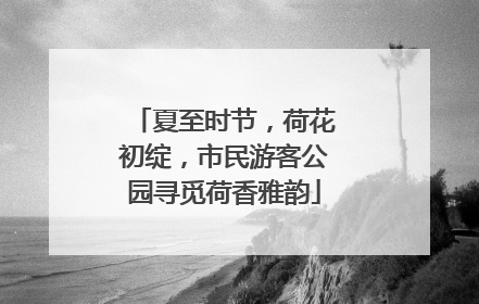 夏至时节，荷花初绽，市民游客公园寻觅荷香雅韵