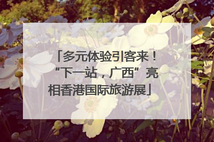 多元体验引客来！“下一站，广西”亮相香港国际旅游展
